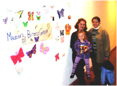 Butterflies